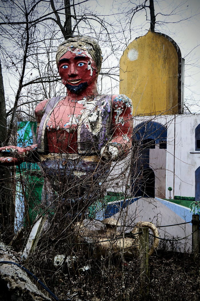 Deer Forest - January 2024 Photo From Dan Keeley (newer photo)